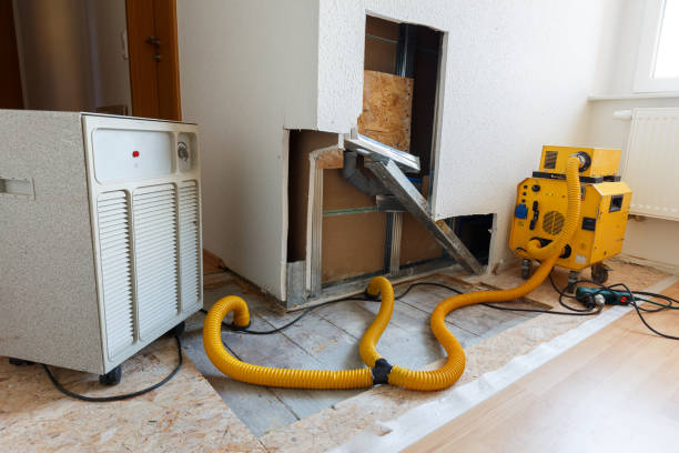 Best Mold Removal for HVAC Installations  in Winton, CA